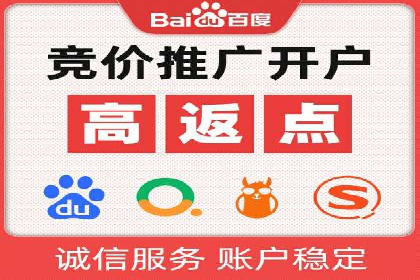 行业标杆：SEM托管公司案例解析